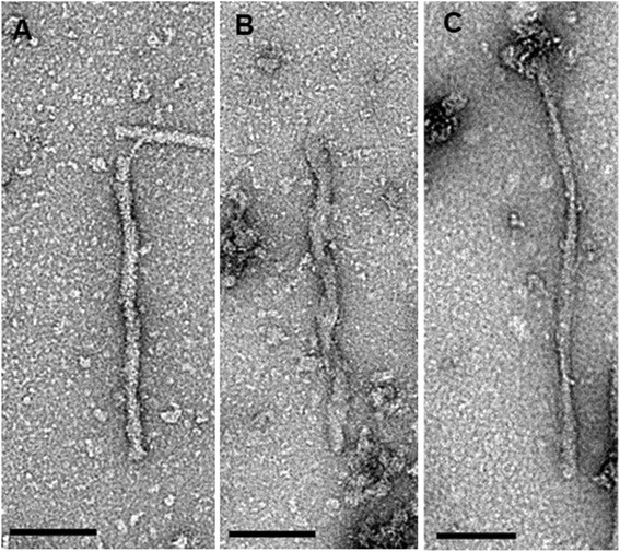 Fig. 14