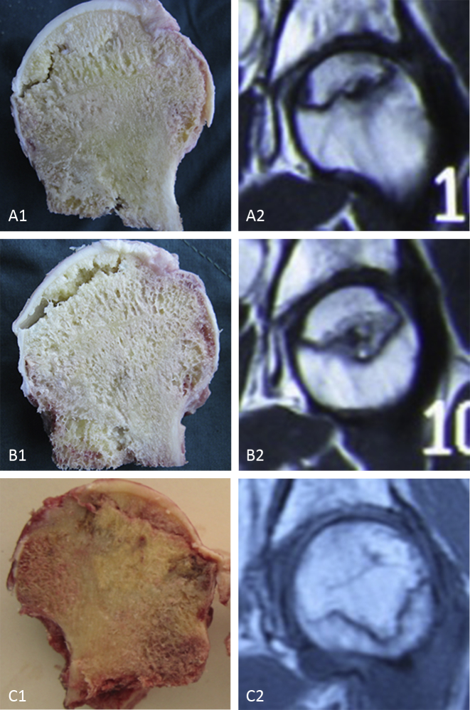 Figure 1