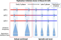 Graphical Abstract
