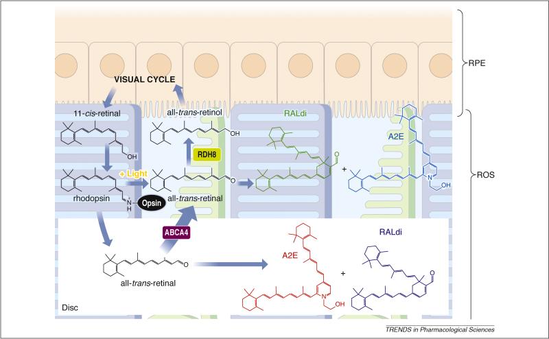 Figure 2