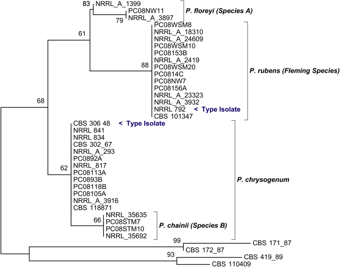 Fig 2