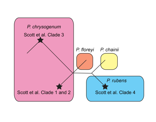 Fig S5