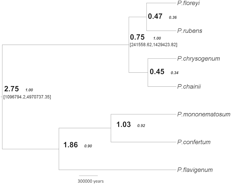 Fig 3