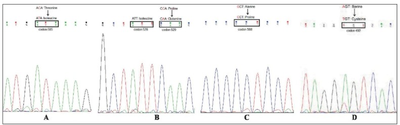 Figure 5