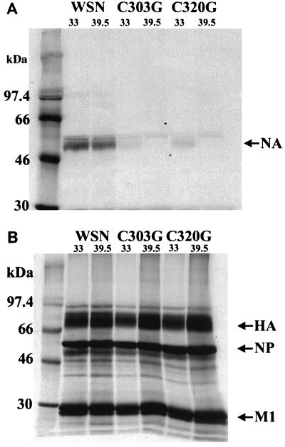 FIG. 4