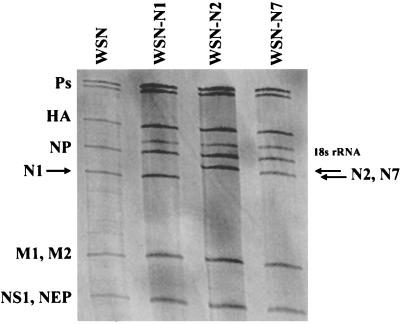 FIG. 6