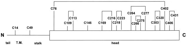 FIG. 1