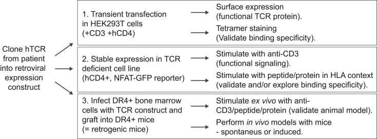 Fig. 6