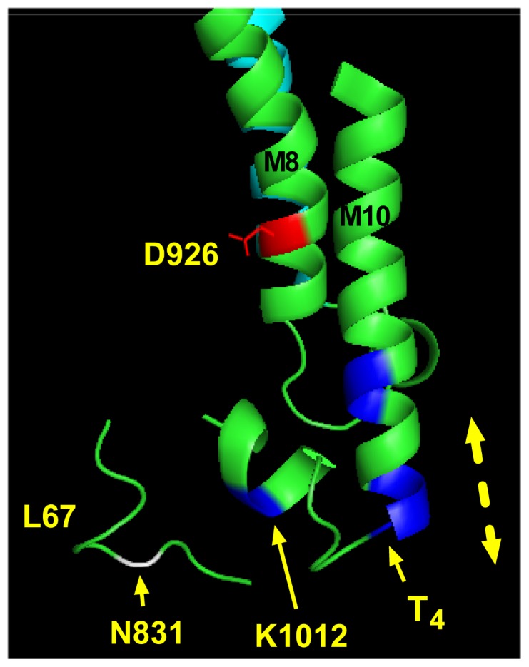 Figure 12