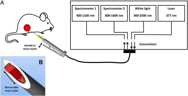 Figure 1