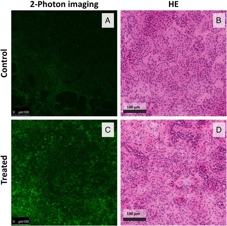 Figure 6