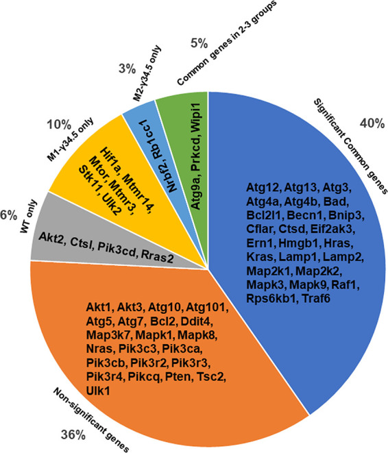 FIG 5