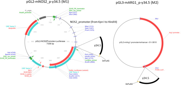 FIG 1