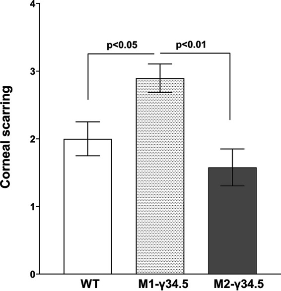 FIG 7