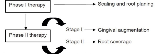 Figure 1a: