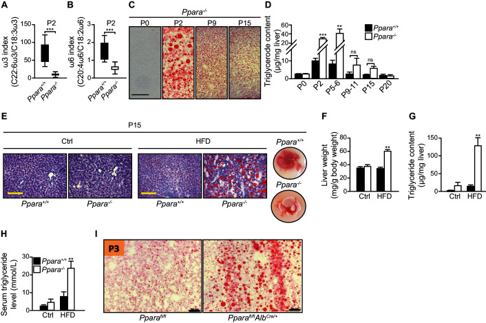 Figure 4—figure supplement 1.