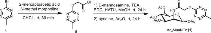 Scheme 1