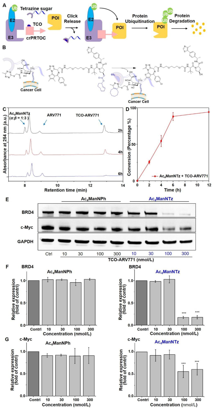 Figure 7