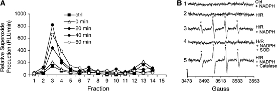 FIG. 8.