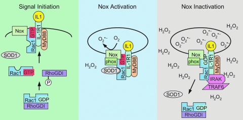 FIG. 7.