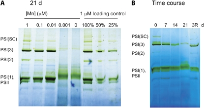 Figure 5.