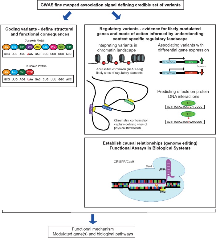 Figure 2: