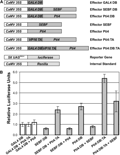 Figure 5.