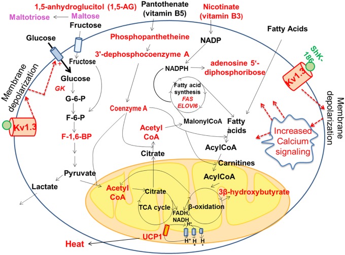 Fig. 7.