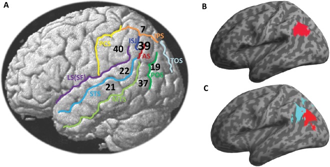 Figure 1.