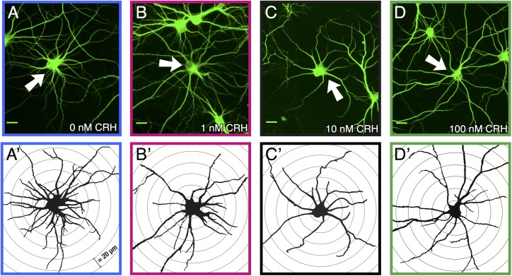 Fig 2