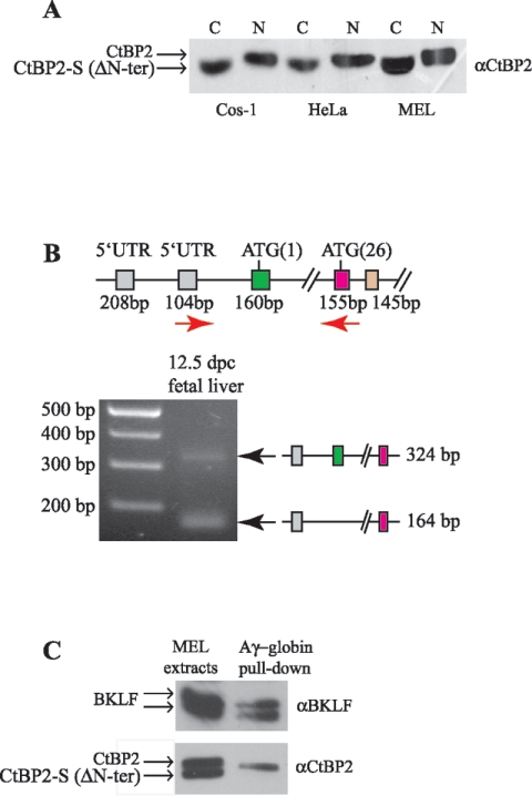 FIG. 7.