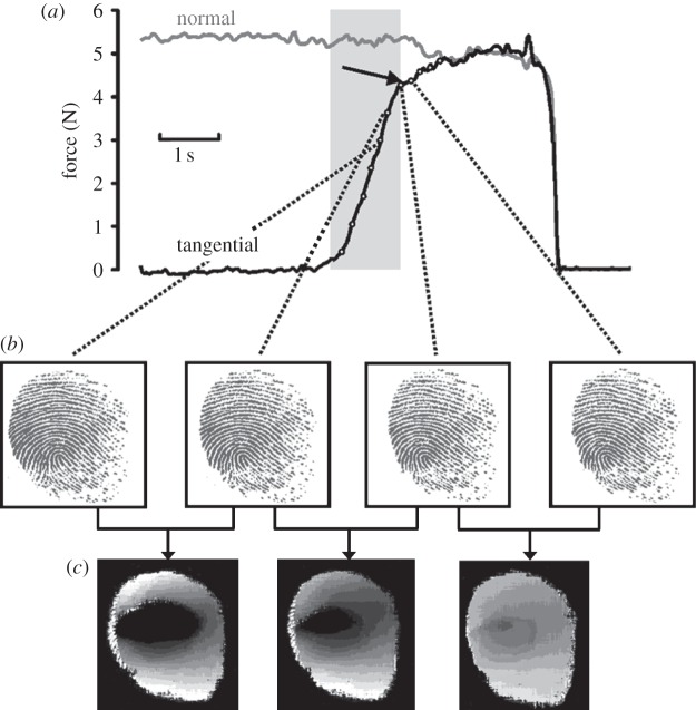 Figure 9.