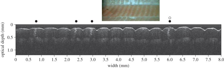 Figure 1.