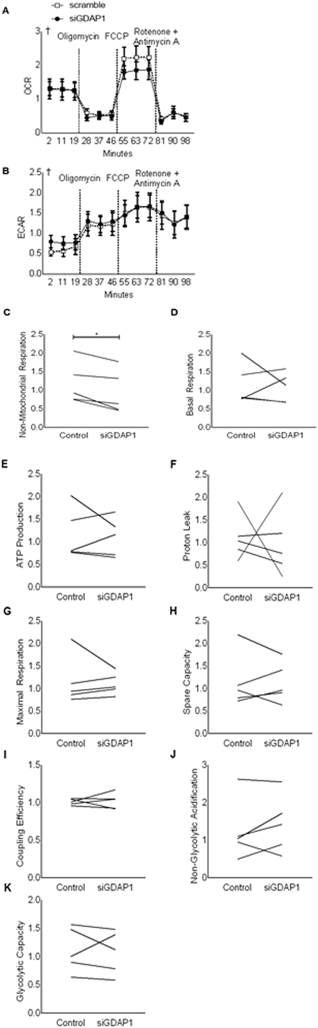 Figure 5