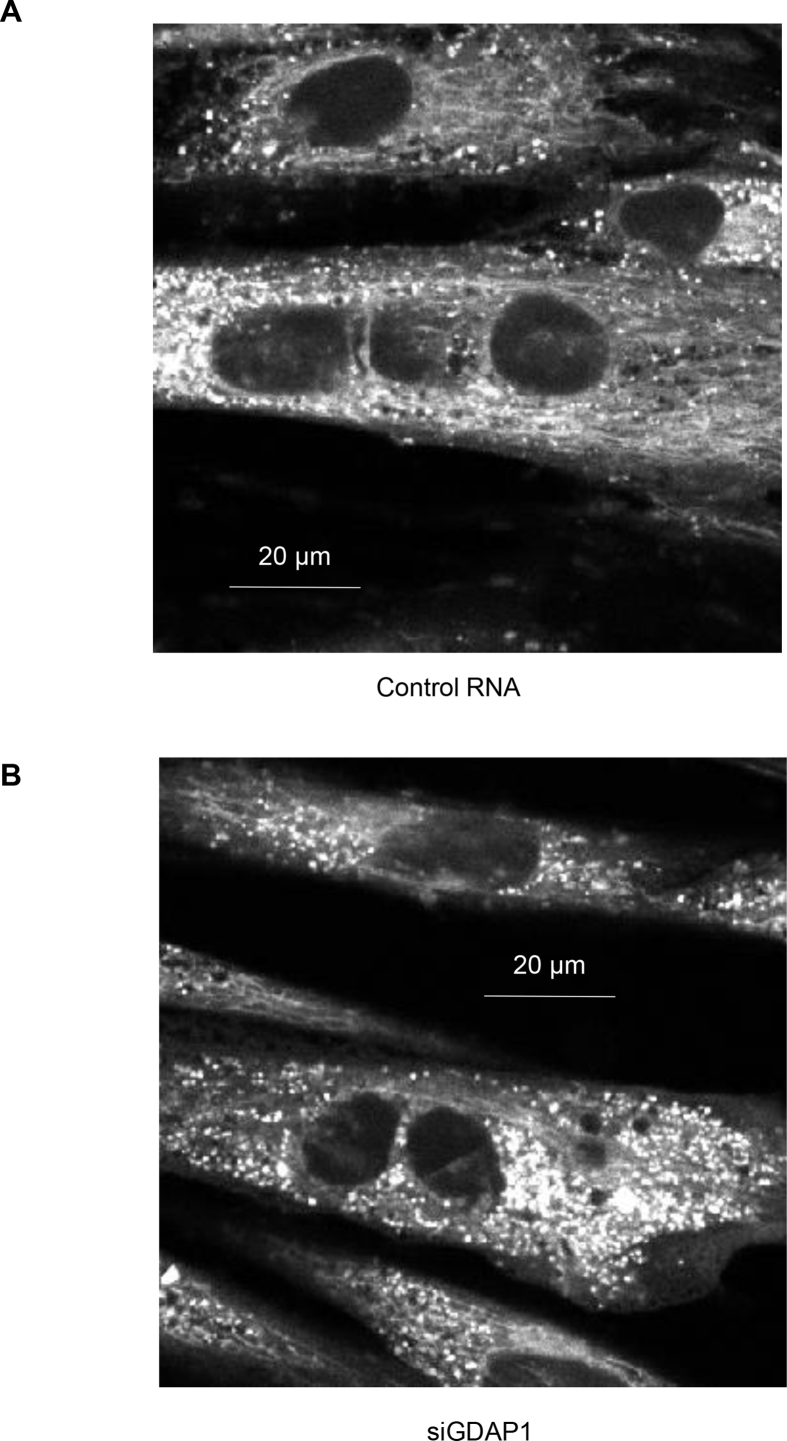 Figure 6