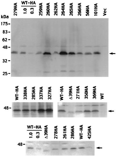 FIG. 7