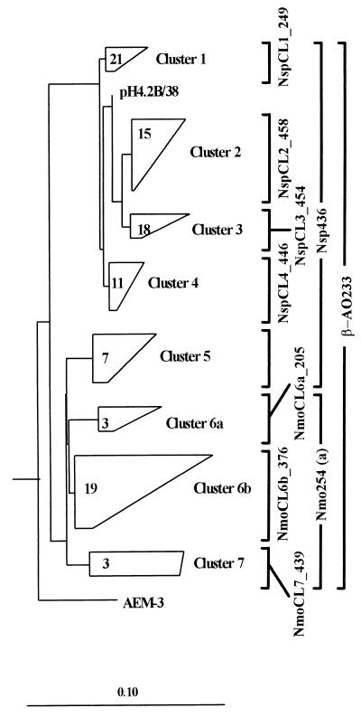 FIG. 1