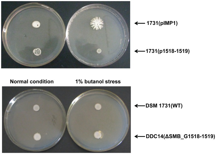 Figure 6