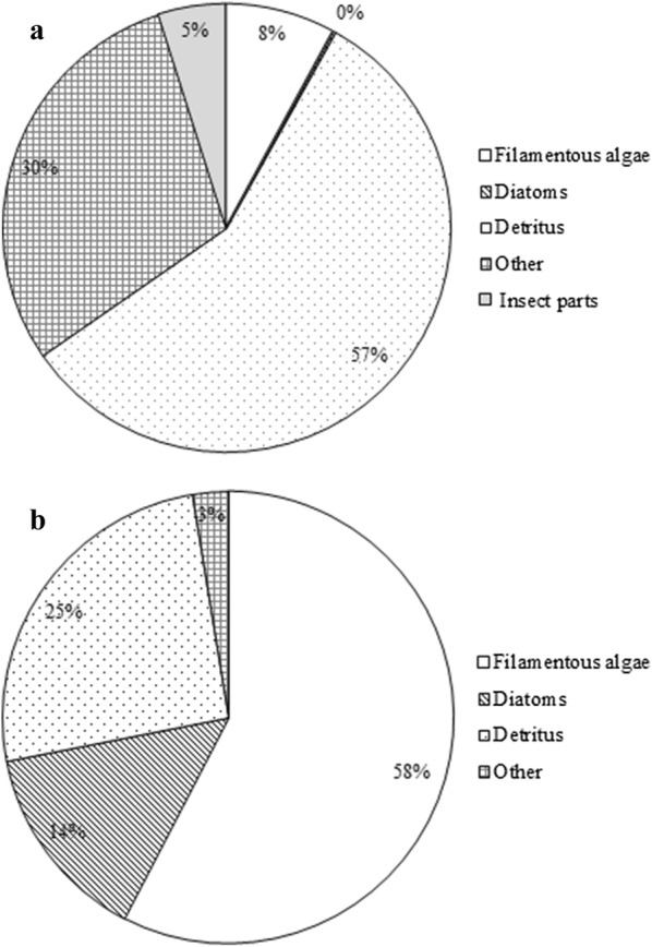 Fig. 5