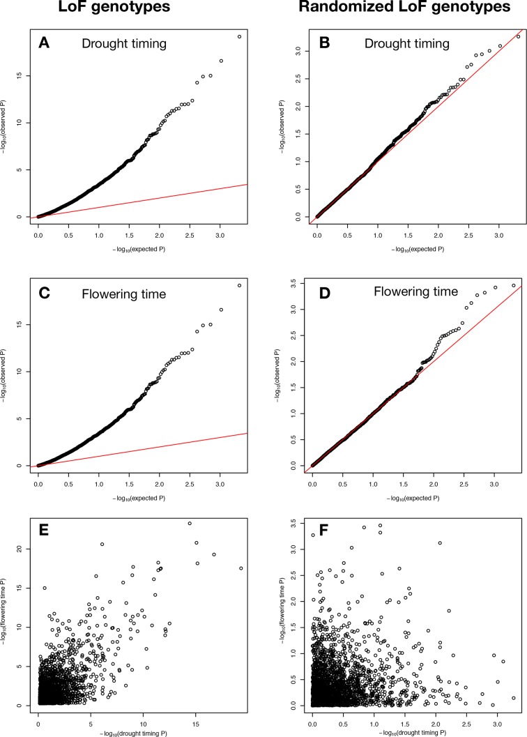 Figure 2—figure supplement 1.