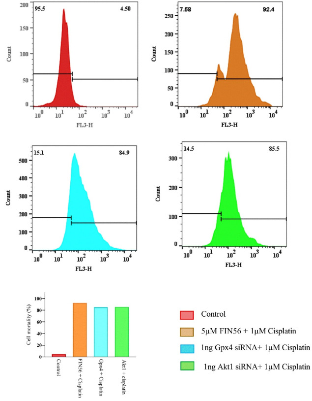 Figure 6