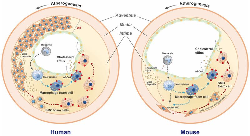 Figure 6.