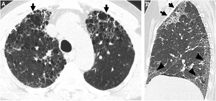 Fig. 7