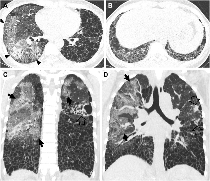 Fig. 8