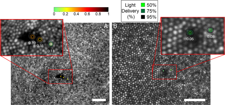 Figure 4.