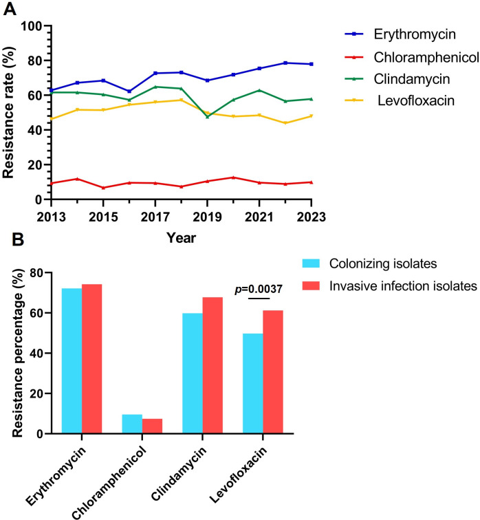 Line graph depicts antibiotic resistance rates from 2013 to 2023 for erythromycin, chloramphenicol, clindamycin, and levofloxacin. Bar chart compares resistance percentage between colonizing and invasive infection isolates.