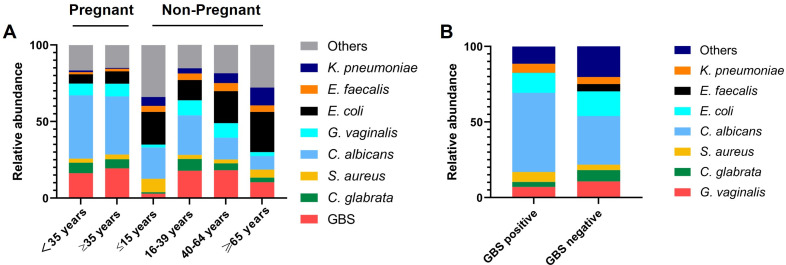 Two stacked bar charts depict relative abundance of pathogens by age group in pregnant and non-pregnant women and by GBS status, whereas GBS-negative women exhibit higher relative abundances of E. coli, E.faecalis and other bacteria.