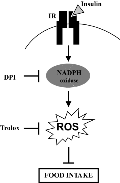 FIG. 5.