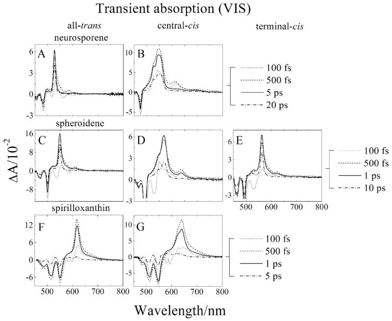 Fig. 3