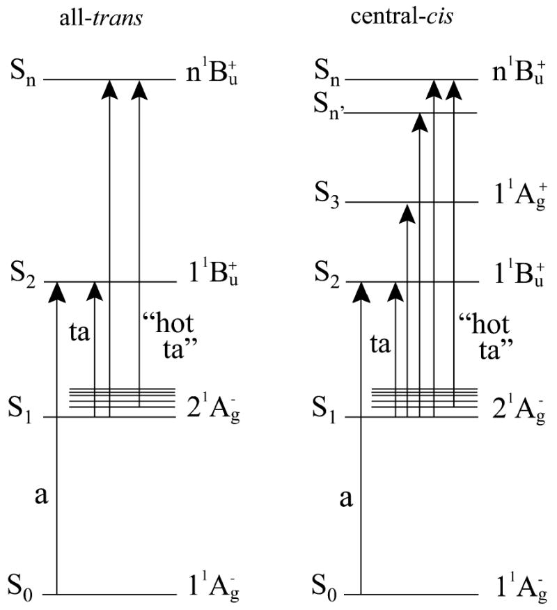 Fig.7